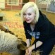 The Gentle Barn Foundation