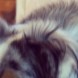 Tweet de Holly