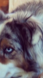 2012-07-10 21-00-00