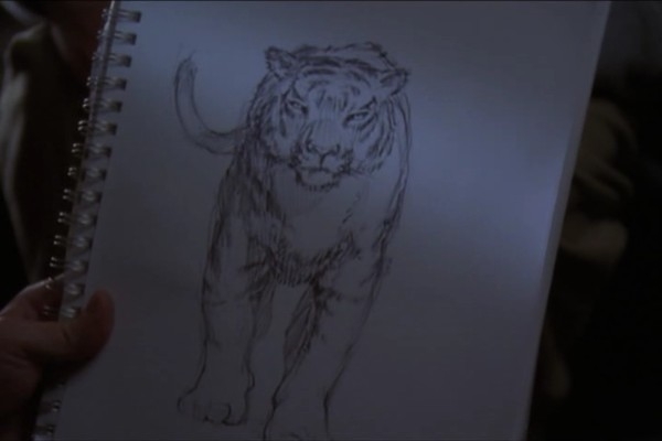 Un tigre en dessin